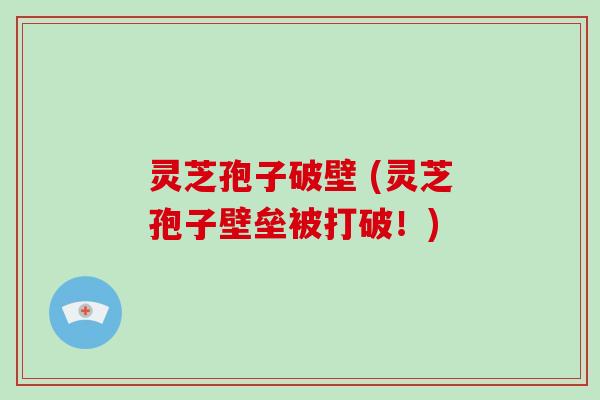 灵芝孢子破壁 (灵芝孢子壁垒被打破！)