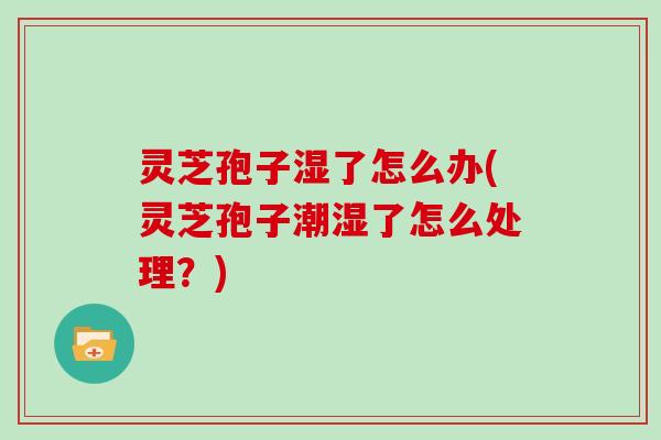 灵芝孢子湿了怎么办(灵芝孢子潮湿了怎么处理？)