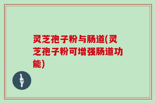 灵芝孢子粉与肠道(灵芝孢子粉可增强肠道功能)