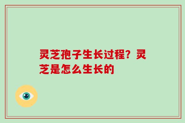 灵芝孢子生长过程？灵芝是怎么生长的