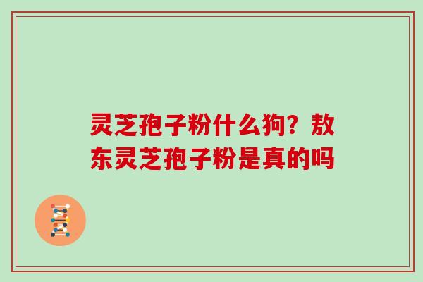 灵芝孢子粉什么狗？敖东灵芝孢子粉是真的吗