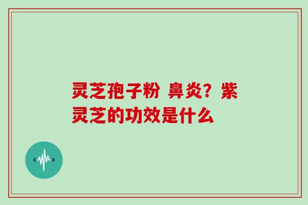 灵芝孢子粉 鼻炎？紫灵芝的功效是什么