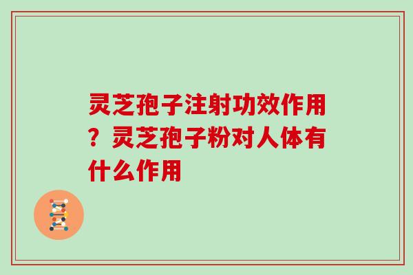 灵芝孢子注射功效作用？灵芝孢子粉对人体有什么作用