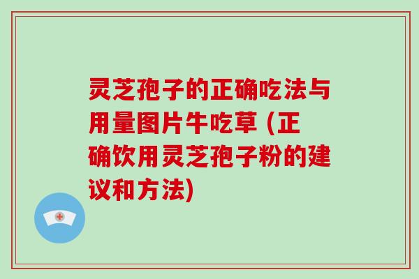 灵芝孢子的正确吃法与用量图片牛吃草 (正确饮用灵芝孢子粉的建议和方法)