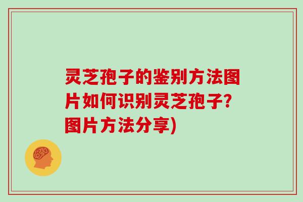 灵芝孢子的鉴别方法图片如何识别灵芝孢子？图片方法分享)
