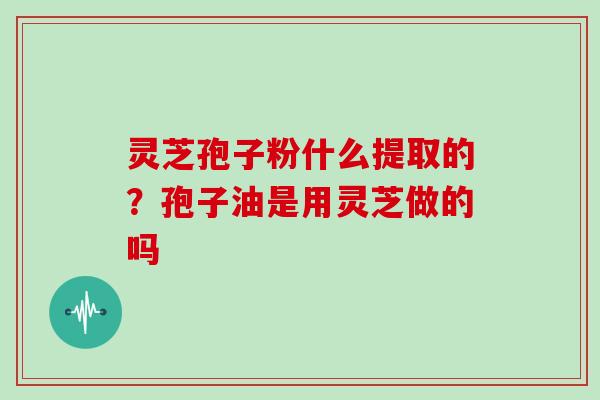 灵芝孢子粉什么提取的?孢子油是用灵芝做的吗-第1张图片-灵芝大师 灵芝孢子粉什么提取的?孢子油是用灵芝做的吗-第1张图片-灵芝大师