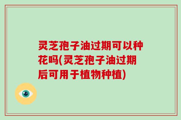 灵芝孢子油过期可以种花吗(灵芝孢子油过期后可用于植物种植)