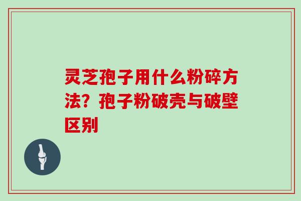 灵芝孢子用什么粉碎方法？孢子粉破壳与破壁区别
