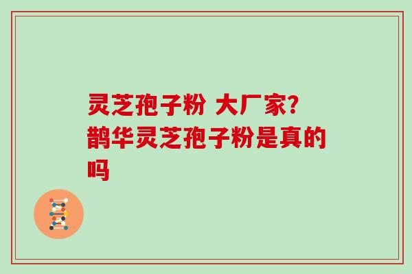 灵芝孢子粉 大厂家?鹊华灵芝孢子粉是真的吗-第1张图片-灵芝大师 灵芝孢子粉 大厂家?鹊华灵芝孢子粉是真的吗-第1张图片-灵芝大师