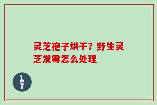 灵芝孢子烘干？野生灵芝发霉怎么处理