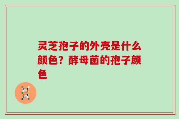 灵芝孢子的外壳是什么颜色?酵母菌的孢子颜色-第1张图片-灵芝大师 灵芝孢子的外壳是什么颜色?酵母菌的孢子颜色-第1张图片-灵芝大师