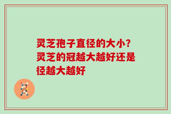 灵芝孢子直径的大小？灵芝的冠越大越好还是径越大越好