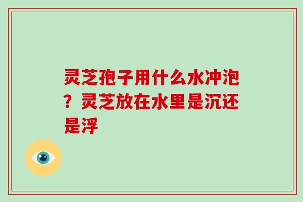 灵芝孢子用什么水冲泡？灵芝放在水里是沉还是浮