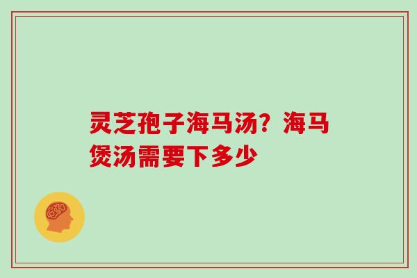 灵芝孢子海马汤？海马煲汤需要下多少