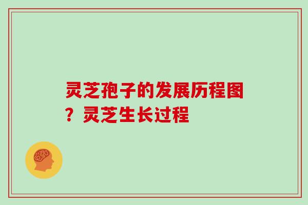 灵芝孢子的发展历程图？灵芝生长过程