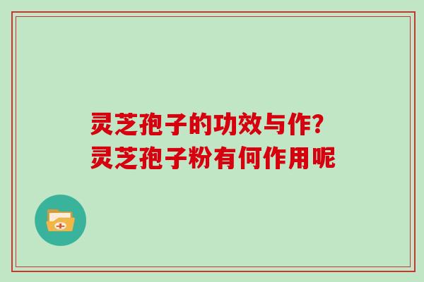 灵芝孢子的功效与作？灵芝孢子粉有何作用呢
