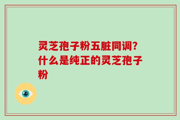 灵芝孢子粉五脏同调？什么是纯正的灵芝孢子粉