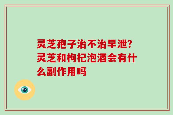 灵芝孢子治不治早泄？灵芝和枸杞泡酒会有什么副作用吗