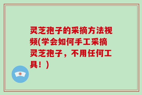 灵芝孢子的采摘方法视频(学会如何手工采摘灵芝孢子，不用任何工具！)