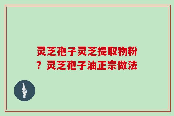 灵芝孢子灵芝提取物粉？灵芝孢子油正宗做法