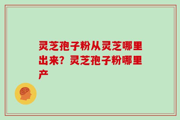 灵芝孢子粉从灵芝哪里出来?灵芝孢子粉哪里产-第1张图片-灵芝大师 灵芝孢子粉从灵芝哪里出来?灵芝孢子粉哪里产-第1张图片-灵芝大师