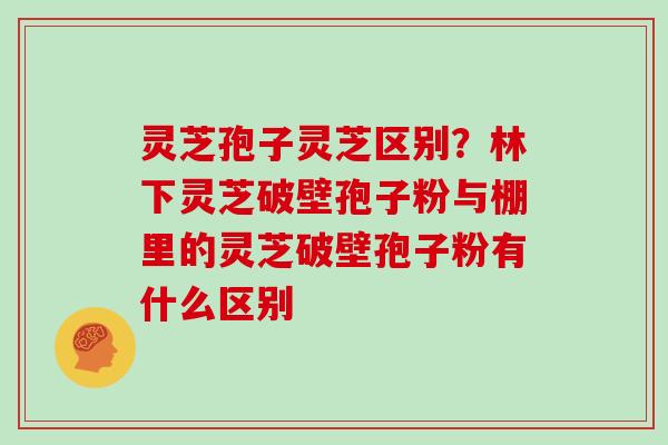 灵芝孢子灵芝区别？林下灵芝破壁孢子粉与棚里的灵芝破壁孢子粉有什么区别