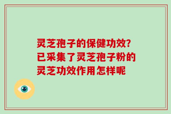 灵芝孢子的保健功效？已采集了灵芝孢子粉的灵芝功效作用怎样呢