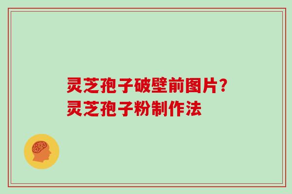 灵芝孢子破壁前图片？灵芝孢子粉制作法