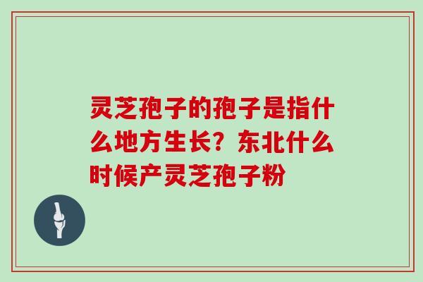 灵芝孢子的孢子是指什么地方生长？东北什么时候产灵芝孢子粉