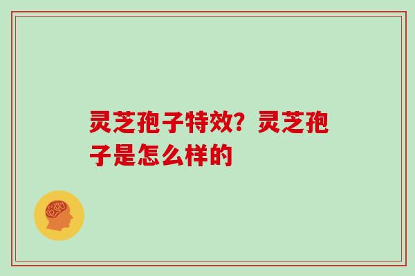 灵芝孢子特效？灵芝孢子是怎么样的
