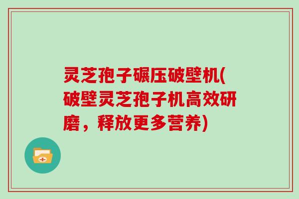 灵芝孢子碾压破壁机(破壁灵芝孢子机高效研磨，释放更多营养)