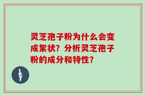 灵芝孢子粉为什么会变成絮状？分析灵芝孢子粉的成分和特性？