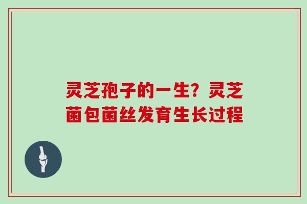 灵芝孢子的一生？灵芝菌包菌丝发育生长过程