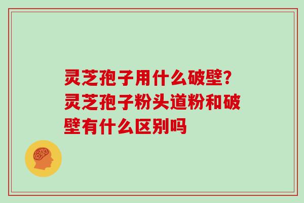灵芝孢子用什么破壁？灵芝孢子粉头道粉和破壁有什么区别吗