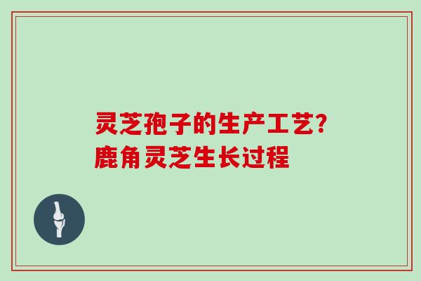 灵芝孢子的生产工艺？鹿角灵芝生长过程