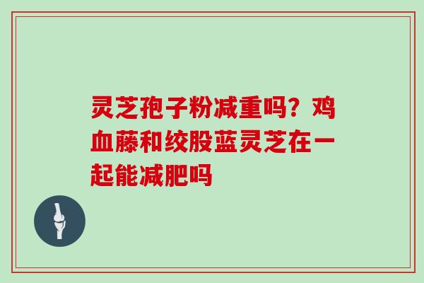 灵芝孢子粉减重吗?鸡血藤和绞股蓝灵芝在一起能减肥吗-第1张图片-灵芝大师 灵芝孢子粉减重吗?鸡血藤和绞股蓝灵芝在一起能减肥吗-第1张图片-灵芝大师
