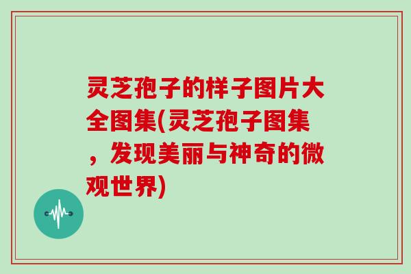 灵芝孢子的样子图片大全图集(灵芝孢子图集，发现美丽与神奇的微观世界)