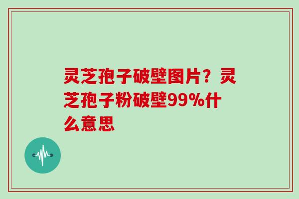 灵芝孢子破壁图片？灵芝孢子粉破壁99%什么意思