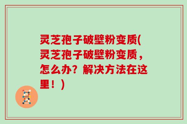 灵芝孢子破壁粉变质(灵芝孢子破壁粉变质,怎么办?解决方法在这里!)-第1张图片-灵芝大师 灵芝孢子破壁粉变质(灵芝孢子破壁粉变质,怎么办?解决方法在这里!)-第1张图片-灵芝大师