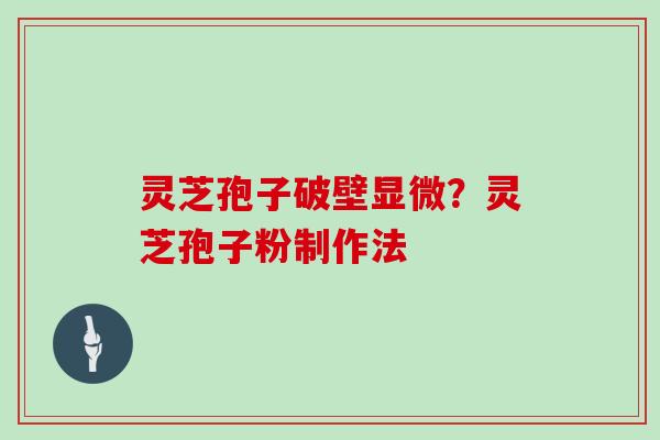 灵芝孢子破壁显微？灵芝孢子粉制作法