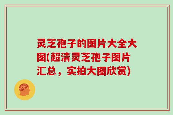灵芝孢子的图片大全大图(超清灵芝孢子图片汇总，实拍大图欣赏)
