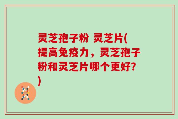 灵芝孢子粉 灵芝片(提高免疫力，灵芝孢子粉和灵芝片哪个更好？)