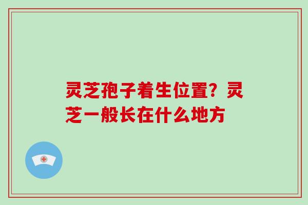 灵芝孢子着生位置？灵芝一般长在什么地方