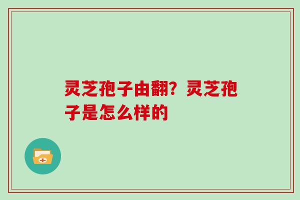 灵芝孢子由翻？灵芝孢子是怎么样的