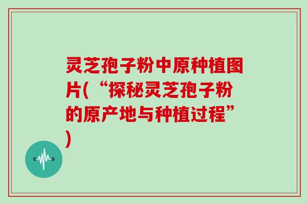 灵芝孢子粉中原种植图片(“探秘灵芝孢子粉的原产地与种植过程”)