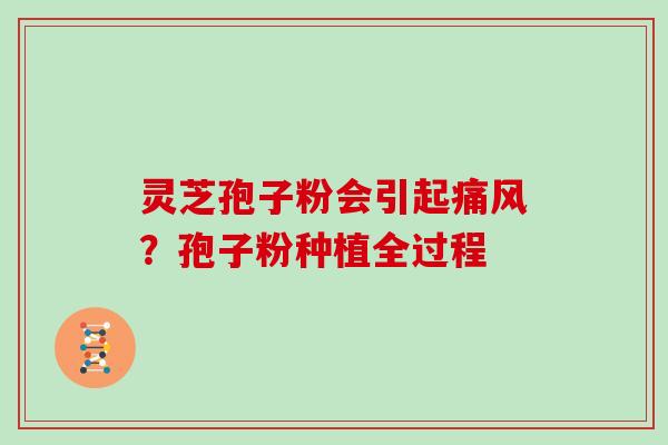 灵芝孢子粉会引起痛风?孢子粉种植全过程-第1张图片-灵芝大师 灵芝孢子粉会引起痛风?孢子粉种植全过程-第1张图片-灵芝大师