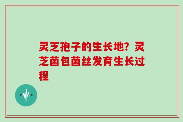 灵芝孢子的生长地？灵芝菌包菌丝发育生长过程