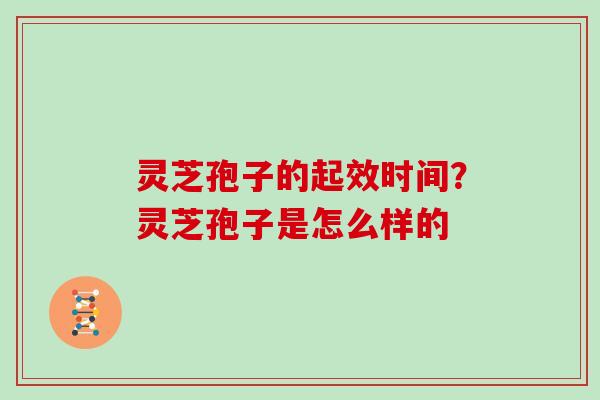灵芝孢子的起效时间？灵芝孢子是怎么样的
