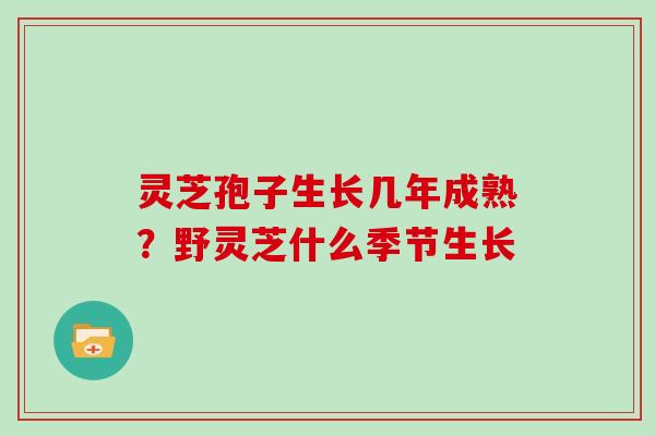 灵芝孢子生长几年成熟？野灵芝什么季节生长