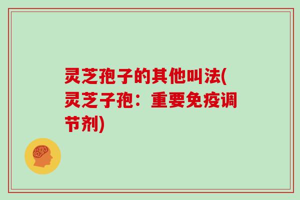 灵芝孢子的其他叫法(灵芝子孢：重要免疫调节剂)